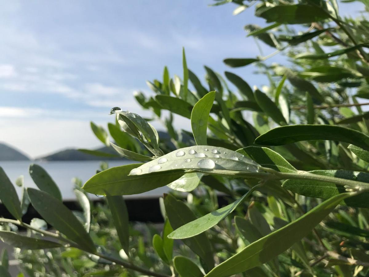 Shodoshima Olive Youth Hostel Exteriör bild